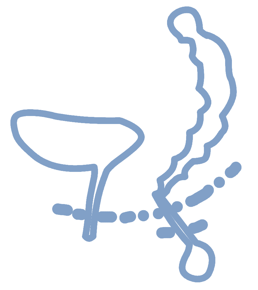 icon 5